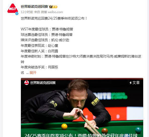 世界冠军再续辉煌，斯诺克比赛中的幕后精彩瞬间的简单介绍