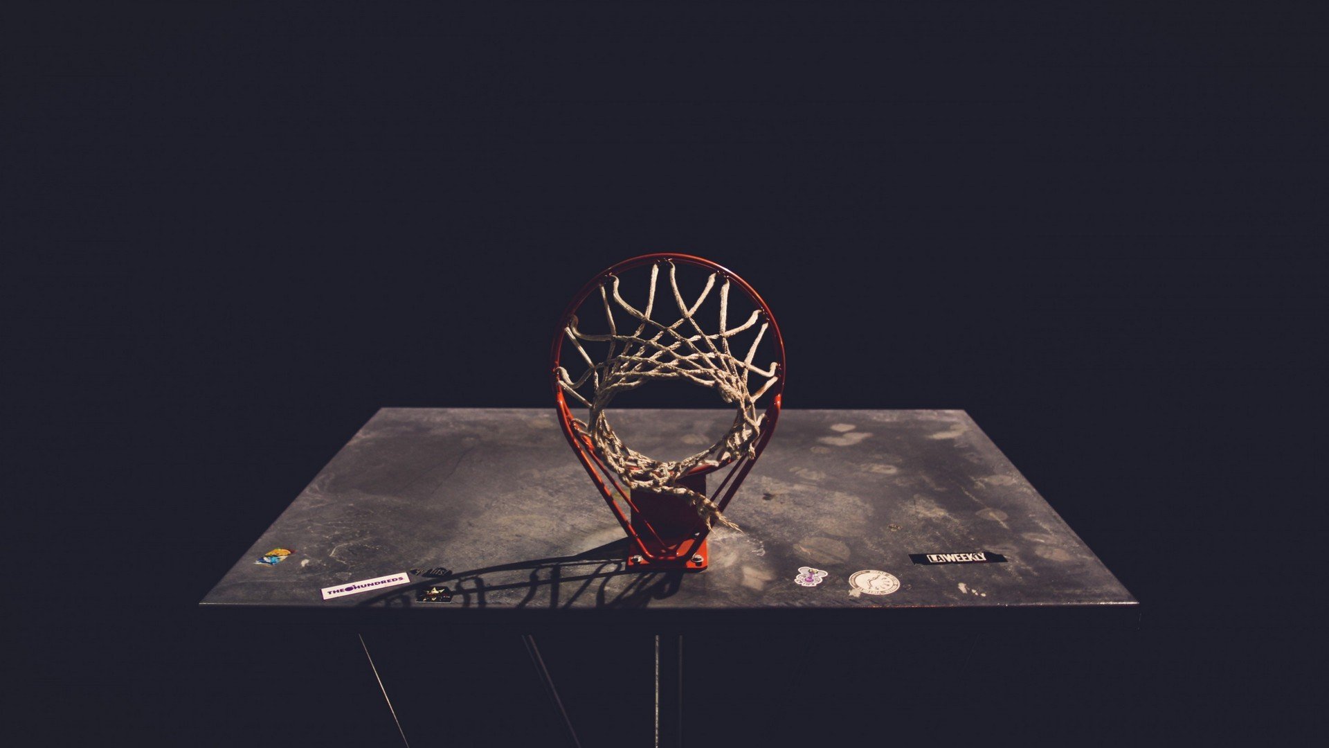 揭秘马术驯马师幕后故事首次公开，驯马师培训班在哪里