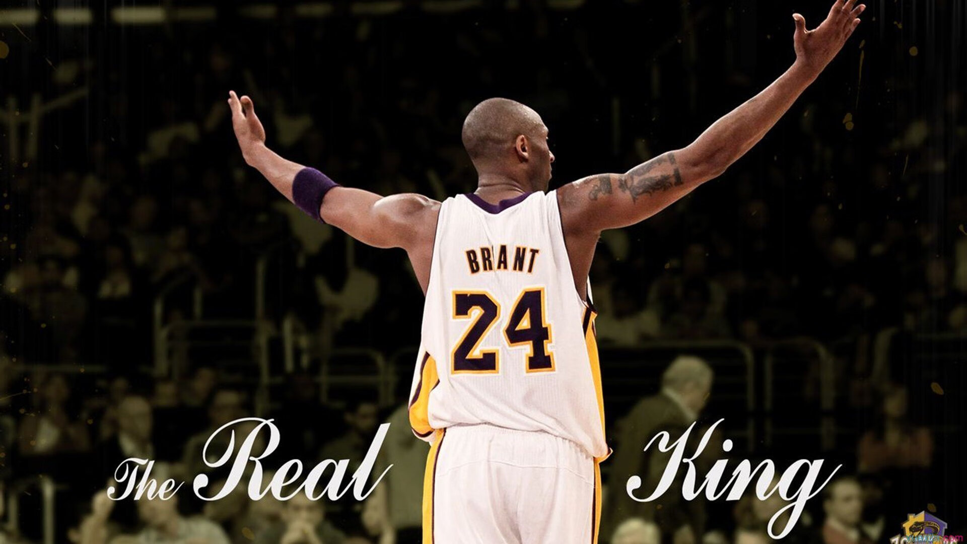 法比奥·范登博斯在男子全能赛中获得铜牌